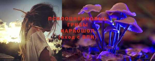 мдпв Волосово