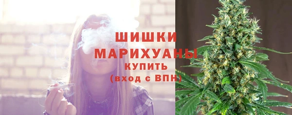 spice Бородино