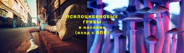 хмурый Волоколамск