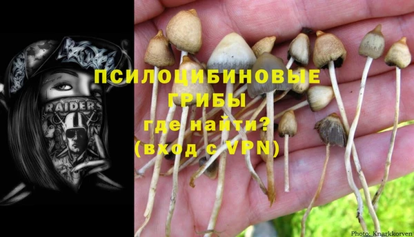мдпв Волосово